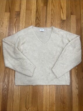 Free People V neck Sweater